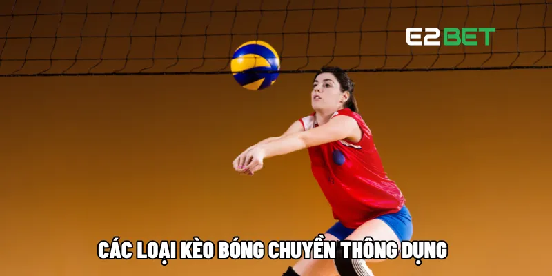 Cá Cược Bóng Chuyền: Hướng Dẫn Tham Gia Toàn Thắng Tại E2BET 3 Các loại kèo bóng chuyền thông dụng